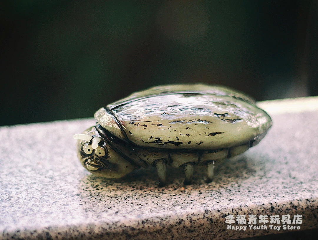 zhanglang